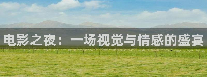 紅葉電影今日影訊：電影之夜：一場視覺與情感的盛宴