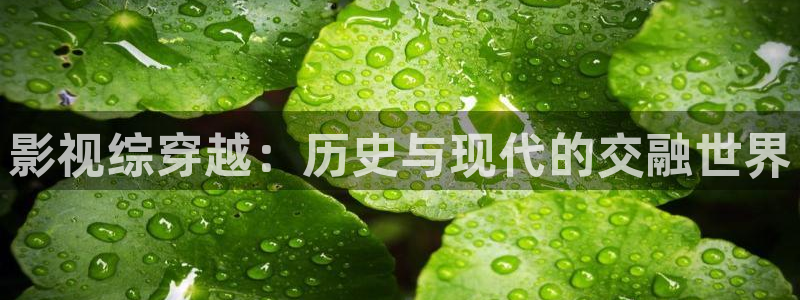 六安紅葉電影院今日影訊