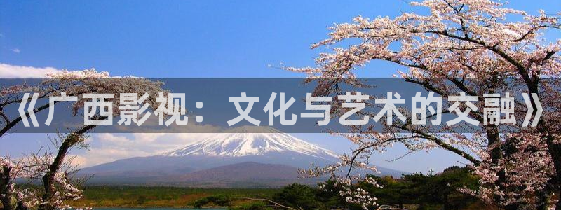 紅葉影視官網