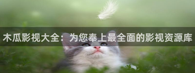 紅葉影院下載