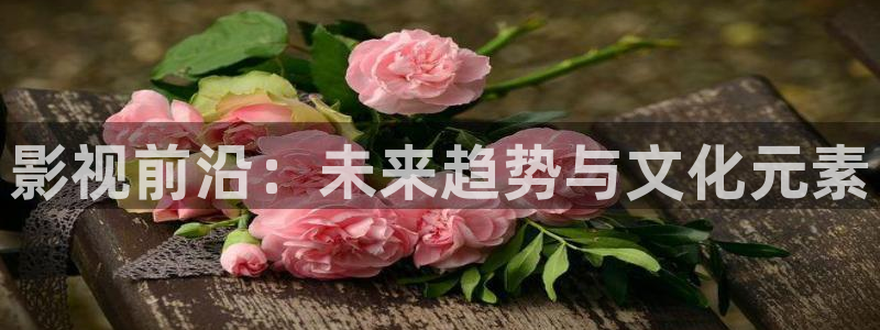紅葉影視下載app官方下載